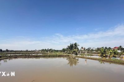 Về Lễ hội Rươi xã Vĩnh Thuận thưởng thức sản vật nổi tiếng của vùng đất phù sa