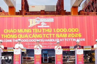 Cảng Tân Cảng-Cái Mép Thị Vải ba năm liên tiếp đạt mốc 1 triệu TEU