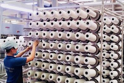 Nhựa Tân Đại Hưng bị phạt vì 'vênh' số liệu lợi nhuận hơn 4 tỷ đồng