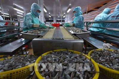Truy xuất nguồn gốc: Chuyển từ quản lý sang công cụ tăng năng lực doanh nghiệp