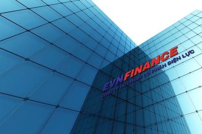 Rủi ro tập trung phía sau tỷ lệ nợ xấu 1% của EVF
