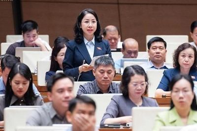 Đại biểu Phan Thị Thùy Linh: 1.000 tỷ USD xuất nhập khẩu - lời khẳng định cho sức bật kinh tế Việt Nam