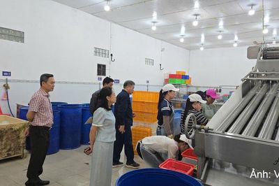 Kiểm tra tình hình thực hiện các đề án khuyến công tại tỉnh Cà Mau