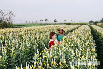 Yên Trường thi đua báo công dâng Bác