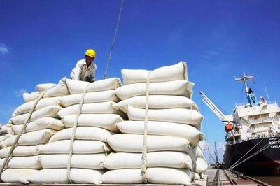 Giá gạo xuất khẩu lập đỉnh 21 tháng, đà tăng có thể kéo dài sang năm 2027
