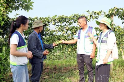 Ưu tiên nguồn lực thực hiện các mô hình khuyến nông