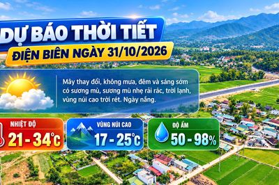 Bản tin Dự báo thời tiết ngày 31/10/2026