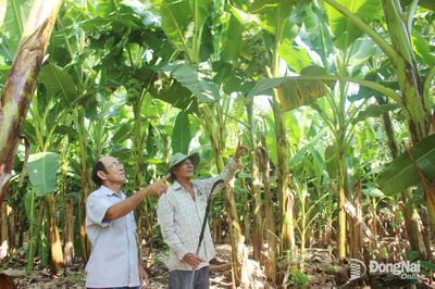 Xây dựng thương hiệu nâng tầm giá trị nông sản