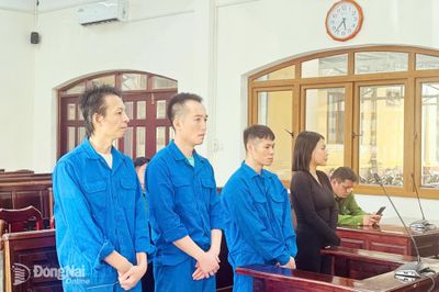 Lập nhóm lừa đảo qua mạng, các bị cáo lãnh án