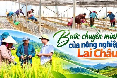 Bước chuyển mình của nông nghiệp Lai Châu