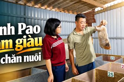 Anh Pao làm giàu từ chăn nuôi