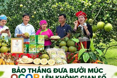 Bảo Thắng đưa bưởi Múc OCOP lên không gian số