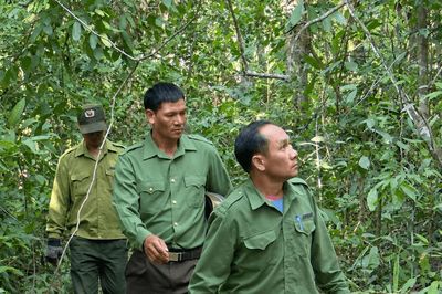 Khi người M'nông giữ rừng bằng sức mạnh cộng đồng