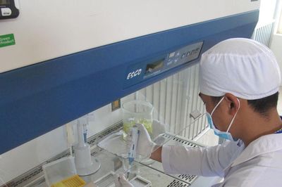Lâm Đồng triển khai Tháng hành động quốc gia phòng, chống HIV/AIDS