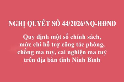 Quy định một số chính sách, mức chi hỗ trợ công tác phòng, chống ma tuý, cai nghiện ma tuý trên địa bàn tỉnh Ninh Bình