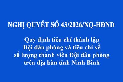 Ninh Bình: Quy định tiêu chí thành lập Đội dân phòng và tiêu chí về số lượng thành viên