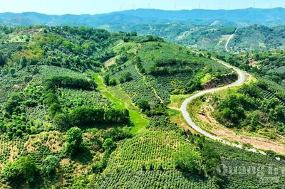 Hương của đất, của cây và tình người