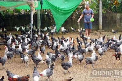 Xây dựng thương hiệu từ chăn nuôi