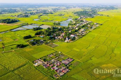 Từ cánh đồng lớn đến vùng sản xuất xanh