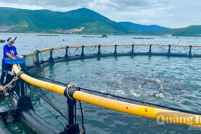 Nuôi trồng thủy sản biển