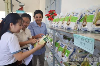 Lợi ích kép trên đồng ruộng Gio Linh