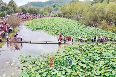 Khám phá hồ sen Hua Nhàn