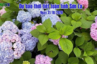 Dự báo thời tiết toàn tỉnh Sơn La ngày 31/10/2026