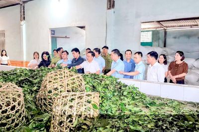 Chính sách dân tộc - Điểm tựa vùng cao