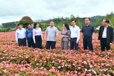 Đoàn công tác tỉnh Tuyên Quang tìm hiểu kinh nghiệm phát triển các mô hình kinh doanh dịch vụ du lịch tại Lâm Đồng