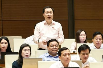 Từ vi phạm tại 12 dự án của Mường Thanh, đại biểu hiến kế bảo vệ quyền lợi người mua nhà
