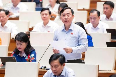 ĐBQH đề nghị hoàn thiện quy định mã định danh điện tử, minh bạch thông tin bất động sản