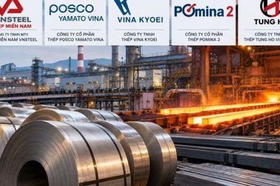 Thanh tra Thép Miền Nam và 4 doanh nghiệp