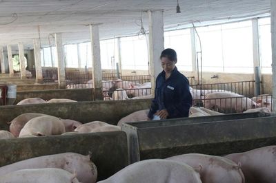 Gần 20.000 cơ sở chăn nuôi được cấp mã định danh