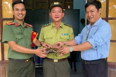 Công an xã bàn giao cá thể rùa quý hiếm do người dân giao nộp