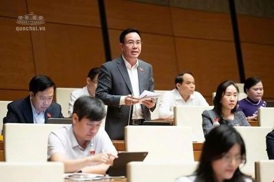Đại biểu Quốc hội cảnh báo nguy cơ trẻ em bị xâm hại bằng công nghệ trên môi trường mạng