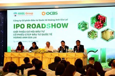 Đầu tư Quốc tế Hoàng Anh Gia Lai (HGI): Lên sàn UPCoM với định giá vốn hóa vượt 11.300 tỷ đồng