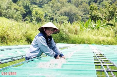 OCOP - Đánh thức tiềm năng, nâng tầm giá trị sản phẩm quê hương