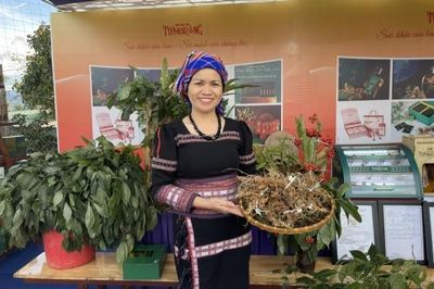 Quảng Ngãi: Lễ hội Sâm Ngọc Linh mở cơ hội phát triển cho Măng Ri