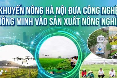 Khuyến nông Hà Nội đưa công nghệ thông minh vào sản xuất nông nghiệp