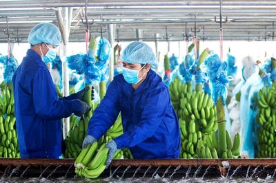 Hoàng Anh Gia Lai lãi hơn 2.600 tỷ nhờ xóa nợ lãi trái phiếu