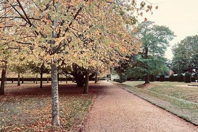 Ba thế kỷ lắng đọng trong vườn cổ Chiswick House ở London