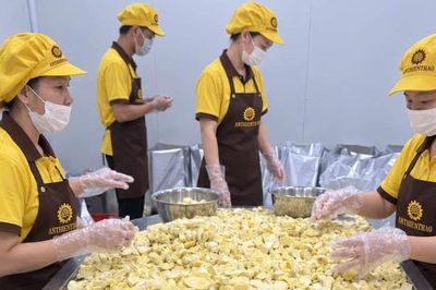 Xuất khẩu rau quả tăng tốc, siết chuẩn để giữ thị trường