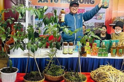 Rộn ràng Lễ hội sâm Ngọc Linh vùng cao Măng Ri