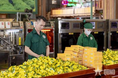 Đưa đặc sản vùng cao vươn ra thị trường quốc tế