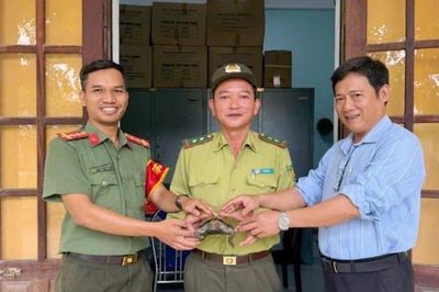 Người dân giao nộp rùa quý hiếm
