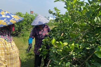 Dự báo giữa tháng 11, Nam bộ kết thúc mùa mưa