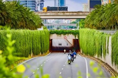 [GALLERY] Hà Nội phủ xanh trụ đường sắt đô thị, cầu vượt và hầm chui