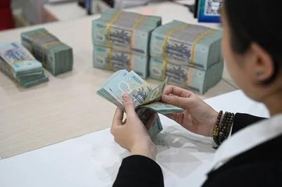 [SPOTLIGHT] Đề xuất xóa nợ lệ phí môn bài cho 764.000 người