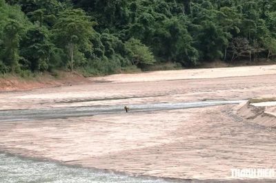 [SPOTLIGHT] El Niño rất mạnh khiến Việt Nam nóng kỷ lục, lo hạn mặn