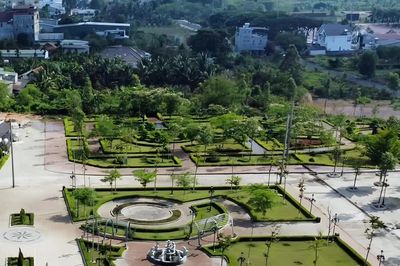 Hơn 264 tỷ đồng 'chảy' về túi Chủ tịch Cây xanh Công Minh thế nào?